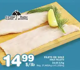 Marches Tradition SOLE FILLETS offer