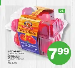 Marches Tradition NECTARINES offer