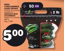 Marches Tradition SEEDLESS MINI CUCUMBERS offer