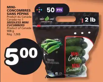 Marches Tradition SEEDLESS MINI CUCUMBERS offer