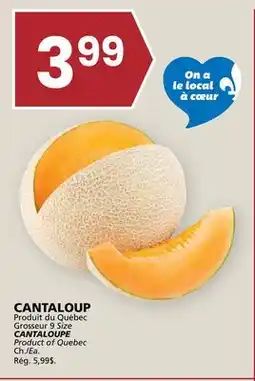 Rachelle-Bery Grocery CANTALOUP offer