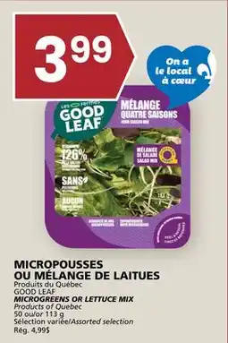 Rachelle-Bery Grocery GOOD LEAF MICROGREENS OR LETTUCE MIX offer