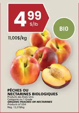 Rachelle-Bery Grocery ORGANIC PEACHES OR NECTARINES offer