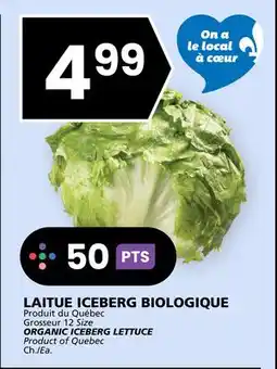 Rachelle-Bery Grocery ORGANIC ICEBERG LETTUCE offer