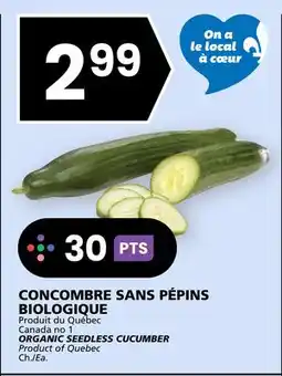 Rachelle-Bery Grocery ORGANIC SEEDLESS CUCUMBER offer