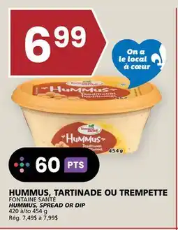 Rachelle-Bery Grocery FONTAINE SANTÉ HUMMUS, SPREAD OR DIP offer