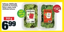 Super C laitues Attitude | Attitude lettuce offer