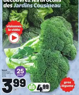 Metro BROCOLI | BROCCOLI offer