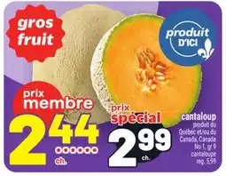 Metro CANTALOUP offer