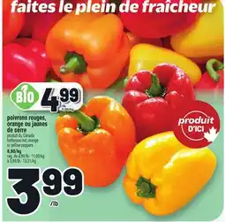 Metro POIVRONS ROUGES, ORANGE OU JAUNES DE SERRE | HOTHOUSE RED, ORANGE OR YELLOW PEPPERS offer