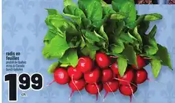 Metro RADIS EN FEUILLES | BUNCH RADISHES offer