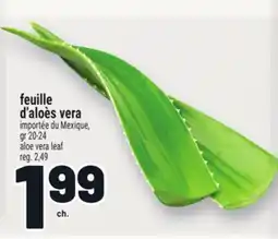 Metro FEUILLE D'ALOÈS VERA | ALOE VERA LEAF offer