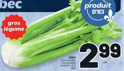 Metro CÉLERI | CELERY offer