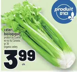 Metro CÉLERI BIOLOGIQUE | ORGANIC CELERY offer
