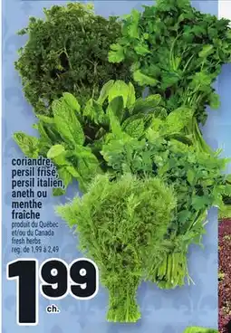 Metro CORIANDRE, PERSIL FRISÉ, PERSIL ITALIEN, ANETH OU MENTHE FRAÎCHE | FRESH HERBS offer