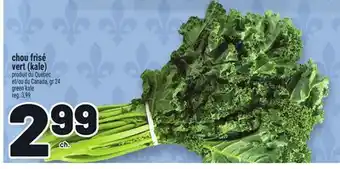 Metro CHOU FRISÉ VERT (KALE) | GREEN KALE offer