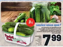 Metro CORNICHONS FRAIS | FRESH DILL PICKLING CUKES offer