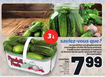 Metro CORNICHONS FRAIS | FRESH DILL PICKLING CUKES offer
