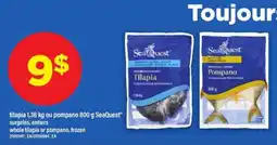Maxi SeaQuest Tilapia ou Pompano offer