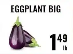 Mega Sanjha Punjab Grocery Store Eggplant big offer