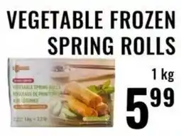Mega Sanjha Punjab Grocery Store Vegetable frozen spring rolls offer