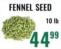 Mega Sanjha Punjab Grocery Store Fennel seed offer