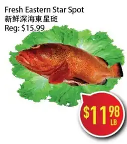 Full Fresh Supermarket Fresh Eastern Star Spot offer