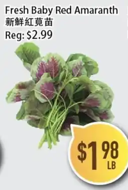 Full Fresh Supermarket Fresh Baby Red Amaranth offer