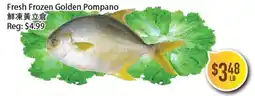 Full Fresh Supermarket Fresh Frozen Golden Pompano offer