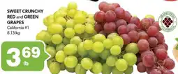 Colemans Sweet crunchy red and green grapes offer
