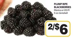 Colemans Plump ripe blackberries offer
