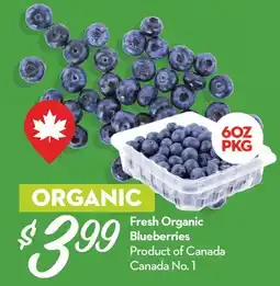 Longo's Fresh Organic Blueberries offer