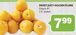 Colemans Sweet juicy golden plums offer