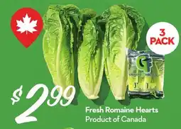Longo's Fresh Romaine Hearts offer