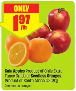 FreshCo Gala Apples Product of Chile Extra Fancy Grade or Seedless Oranges Product of South Africa 4.34/kg offer