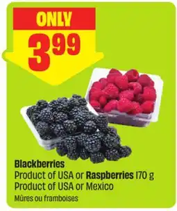 FreshCo Blackberries Product of USA or Raspberries 170 g Product of USA or Mexico offer