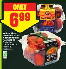 FreshCo Yellow Flesh Peaches 3 L Or Nectarines 2 L Product of Ontario, Canada No. 1 offer