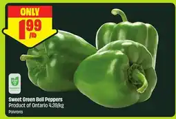 FreshCo Sweet Green Bell Peppers Product of Ontario 4.39/kg offer