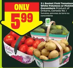 FreshCo 3 L Basket Field Tomatoes White Potatoes or Pickling Cucumbers Product of Ontario, Canada No. 1 offer
