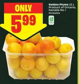FreshCo Golden Plums 1.5 L Product of Ontario, Canada No. 1 offer