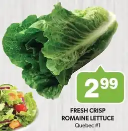 Colemans Fresh crisp romaine lettuce offer