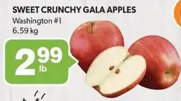 Colemans Sweet crunchy gala apples offer