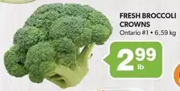 Colemans Fresh broccoli crowns offer