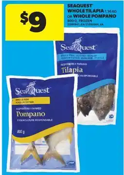 Real Canadian Superstore SEAQUEST WHOLE TILAPIA, 1.36 KG OR WHOLE POMPANO, 800 G offer