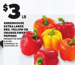 Loblaws GREENHOUSE EXTRA LARGE RED, YELLOW OR ORANGE SWEET PEPPERS offer
