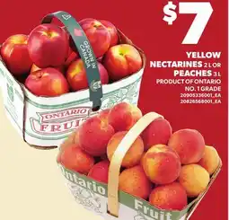 Loblaws YELLOW NECTARINES, 2 L OR PEACHES, 3 L offer