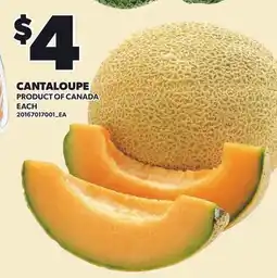 Loblaws CANTALOUPE offer