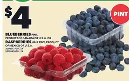 Loblaws BLUEBERRIES PINT, PRODUCT OF CANADA OR U.S.A. OR RASPBERRIES HALF PINT, PRODUCT OF MEXICO OR U.S.A offer