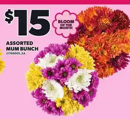 Loblaws ASSORTED MUM BUNCH offer