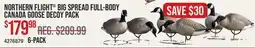 Cabela's NORTHERN FLIGHT BIG SPREAD FULL-BODY CANADA GOOSE DECOY PACK offer